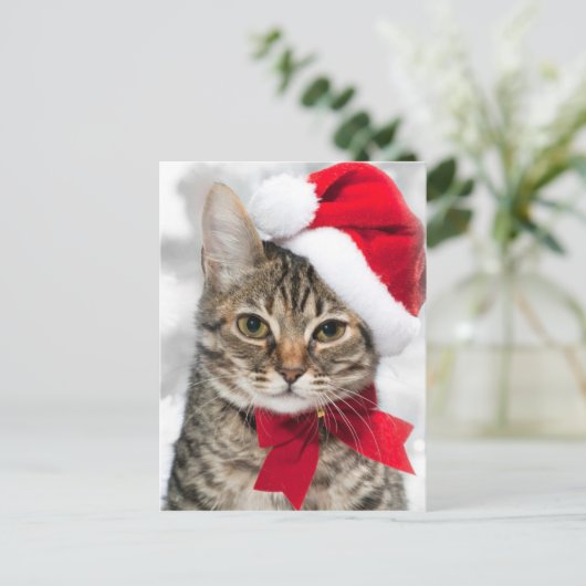 Kerstkat in het Rode pet van de Kerstman Feestdagenkaart (Staand voorkant)