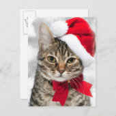 Kerstkat in het Rode pet van de Kerstman Feestdagenkaart (Voorkant / Achterkant)