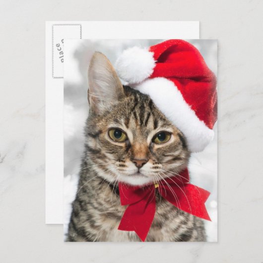 Kerstkat in het Rode pet van de Kerstman Feestdagenkaart (Voorkant / Achterkant)