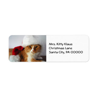 Kerstkat in kerstmuts retouradreslabels etiket