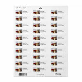 Kerstkat in kerstmuts retouradreslabels etiket (Full Sheet)