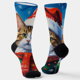 Kerstkat in kerstmuts sokken