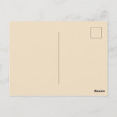 Kerstkat in Kous Briefkaart (Achterkant)