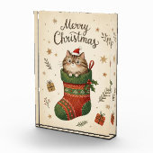 Kerstkat in Kous Fotoblokken (Rechts)