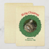 Kerstkat in krans huisdier foto feestdagenkaart (Voorkant / Achterkant)