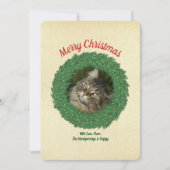 Kerstkat in krans huisdier foto feestdagenkaart (Voorkant)