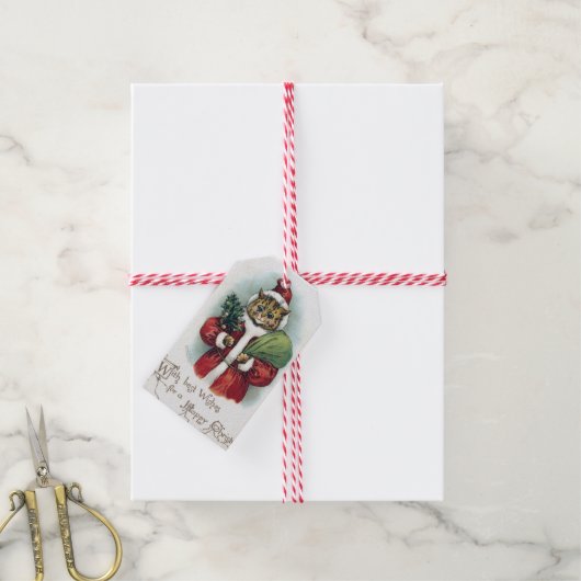 Kerstkat, Louis Wain Cadeaulabel (Met Touw)