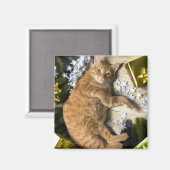 kerstKat Magneet (Voorkant / Achterkant)