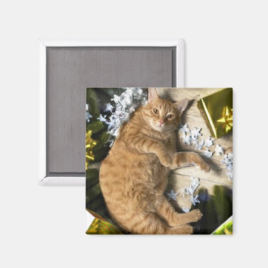 kerstKat Magneet (Voorkant / Achterkant)