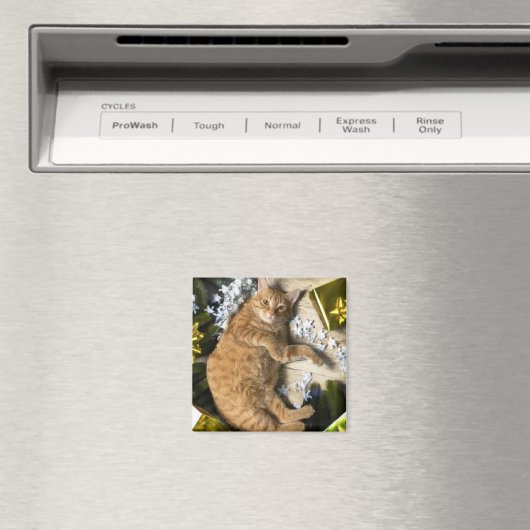 kerstKat Magneet (Insitu (Vaatwasser))