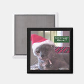 kerstkat magneet (Voorkant / Achterkant)