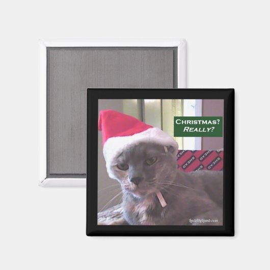 kerstkat magneet (Voorkant / Achterkant)