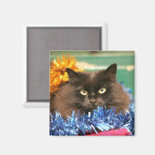 kerstkat magneet (Voorkant / Achterkant)