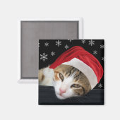 kerstkat Magnet (Voorkant / Achterkant)