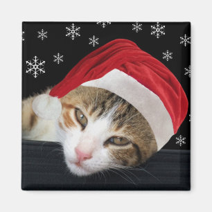 kerstkat Magnet