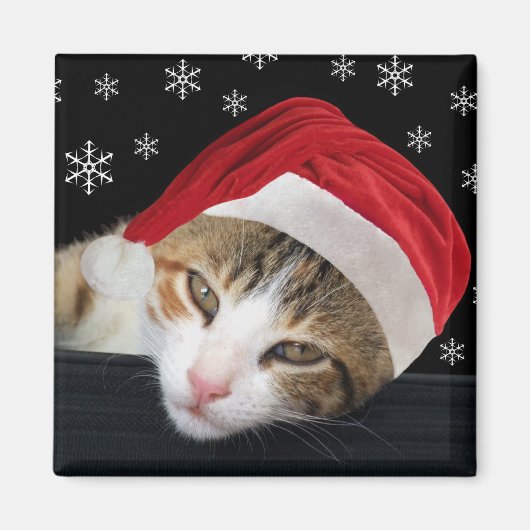 kerstkat Magnet (Voorkant)