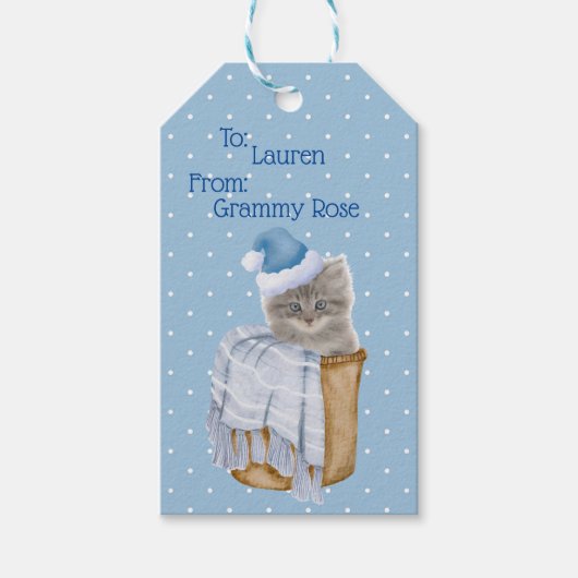 kerstKat met blauw kerstcadeautje Label Cadeaulabel (Voorkant)