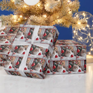 Kerstkat met rood Ornament Cadeaupapier