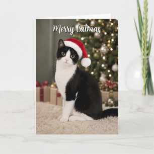 Kerstkat met Tuxedo Santa-hoed Funny Merry Catmas Feestdagen Kaart