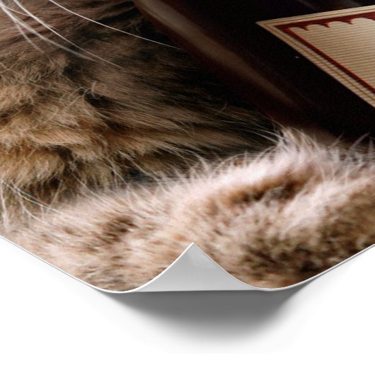 kerstkat met wijnflesje poster (Hoek)