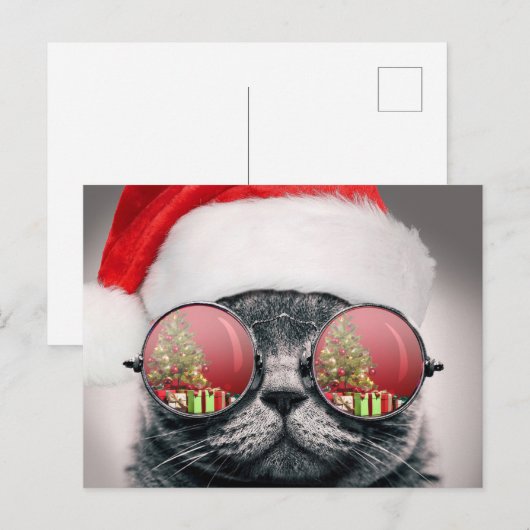 kerstkat met zonnebril briefkaart (Voorkant / Achterkant)