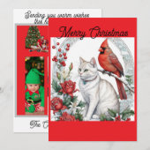 Kerstkat Plat Kerstkaart (Voorkant / Achterkant)