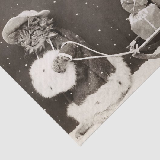 kerstkat Pulling a Sled of Cadeaus Tissuepapier (Detail)