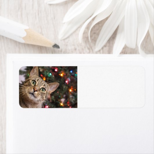 kerstkat-retourlabels etiket (Insitu)