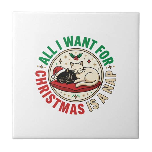 Kerstkat Slaap Vakantie Ontwerp Tegeltje (Voorkant)