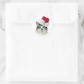 kerstkat sticker (Tas)