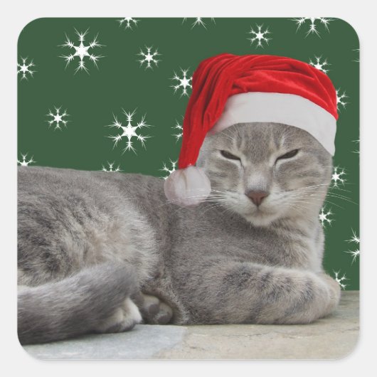 kerstkat-stickers vierkante sticker (Voorkant)