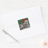 kerstkat-stickers vierkante sticker (Envelop)