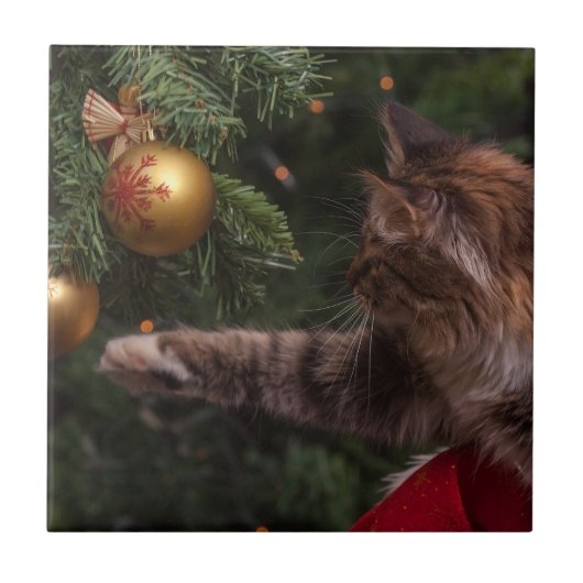 kerstkat tegeltje (Voorkant)