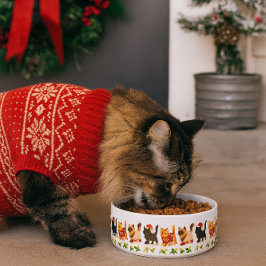 Kerstkat Trio met Hulstspoor Voerbakje
