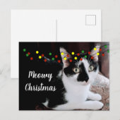 Kerstkat Vakantie Briefkaart (Voorkant / Achterkant)