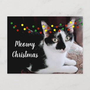 Kerstkat Vakantie Briefkaart
