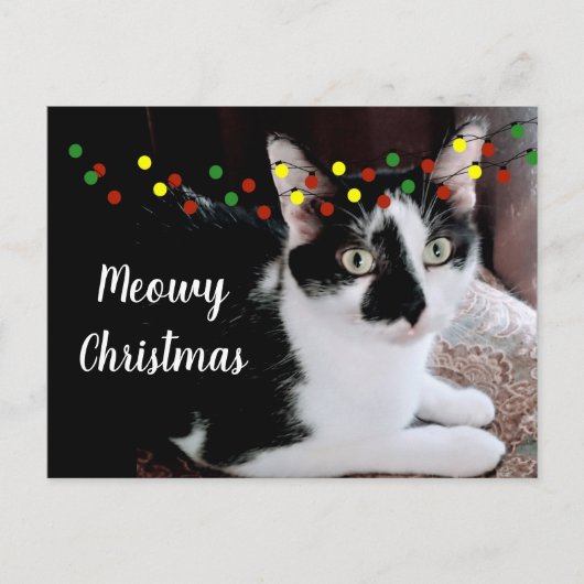 Kerstkat Vakantie Briefkaart (Voorkant)