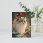 Kerstkat van het ras Lapjeskat Briefkaart (Staand voorkant)