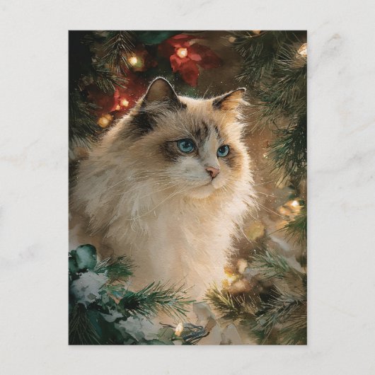 Kerstkat van het ras Lapjeskat Briefkaart (Voorkant)