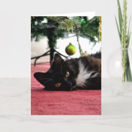 kerstkat-Wenskaart Feestdagen Kaart