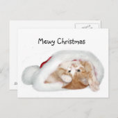 Kerstkatje Feestdagenkaart (Voorkant / Achterkant)