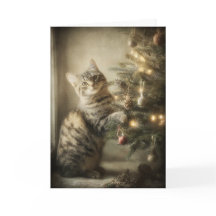 Kerstkatje