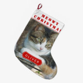 Kerstkattekerstfoto met rode meowy grote kerstsok (Voorkant (Hangend))