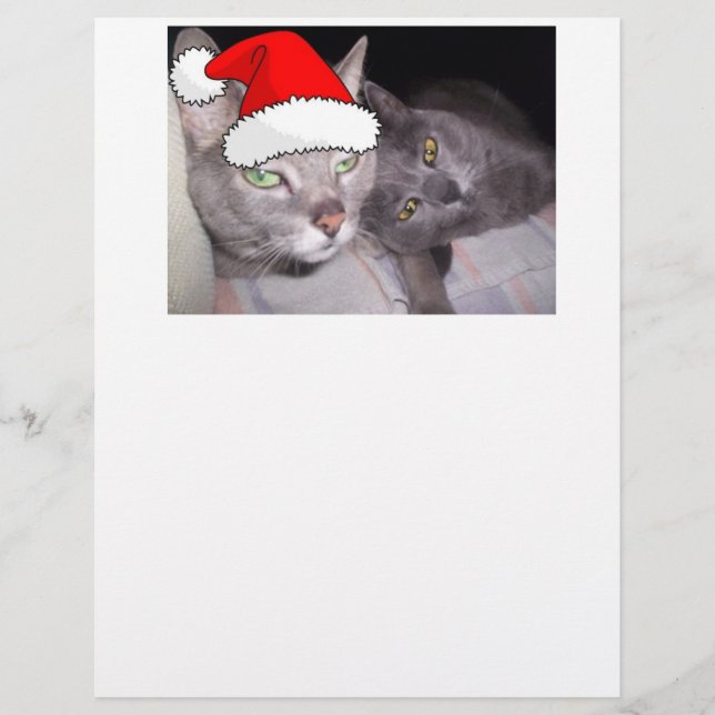 kerstkatten (Voorkant)