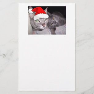 kerstkatten briefpapier