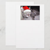 kerstkatten briefpapier (Voorkant / Achterkant)