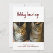 Kerstkatten Cute Festive Red Typografie Feestdagenkaart (Voorkant)
