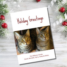 Kerstkatten Cute Festive Red Typografie