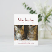 Kerstkatten Cute Festive Red Typografie Feestdagenkaart (Staand voorkant)