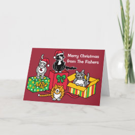 kerstkatten feestdagen kaart